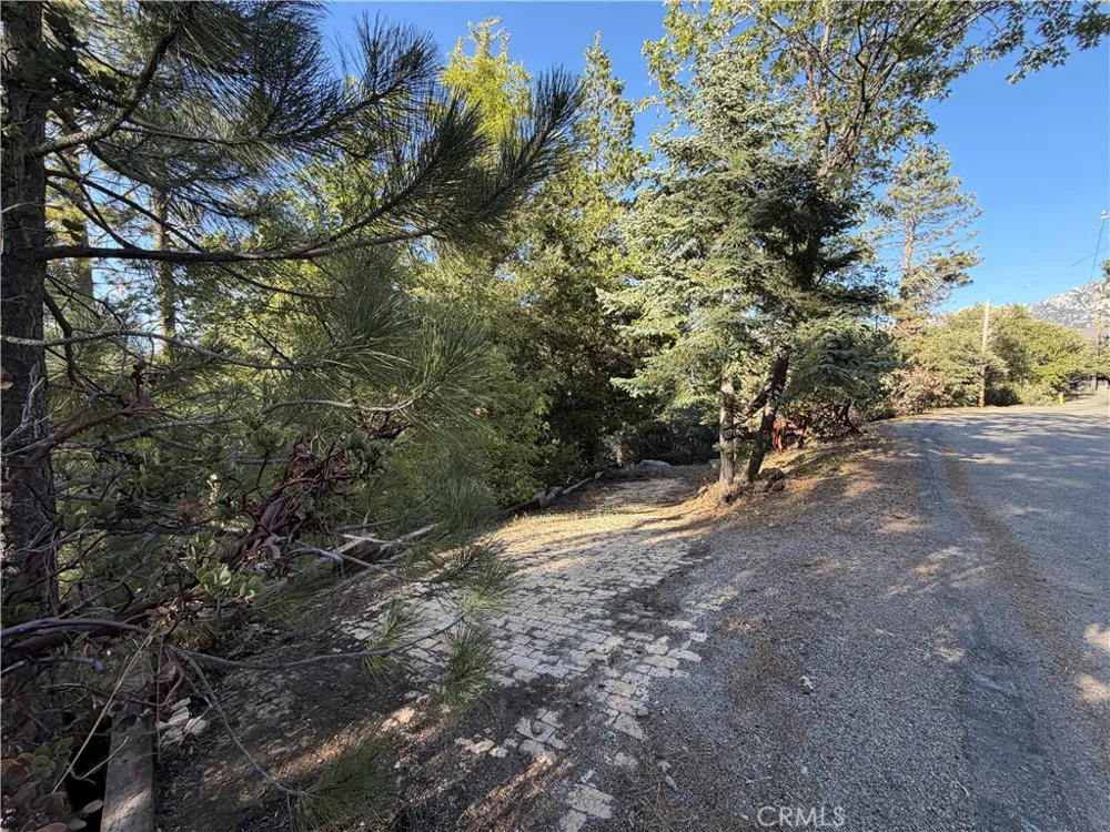 8 Big Rock Drive Idyllwild, CA 92549