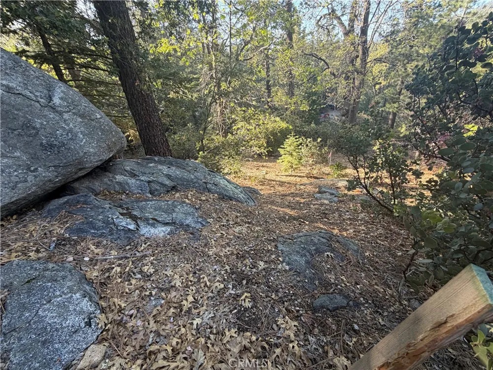 8 Big Rock Drive Idyllwild, CA 92549