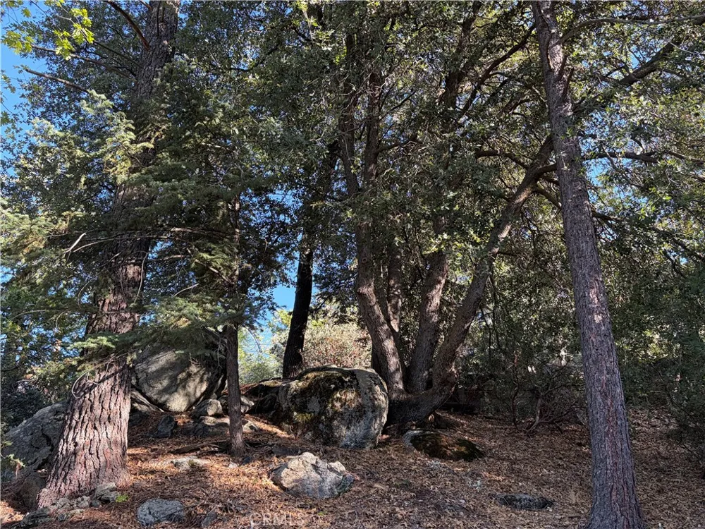 8 Big Rock Drive Idyllwild, CA 92549
