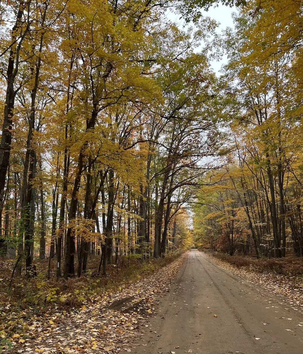7584 Railroad Grade Gladwin, MI 48624