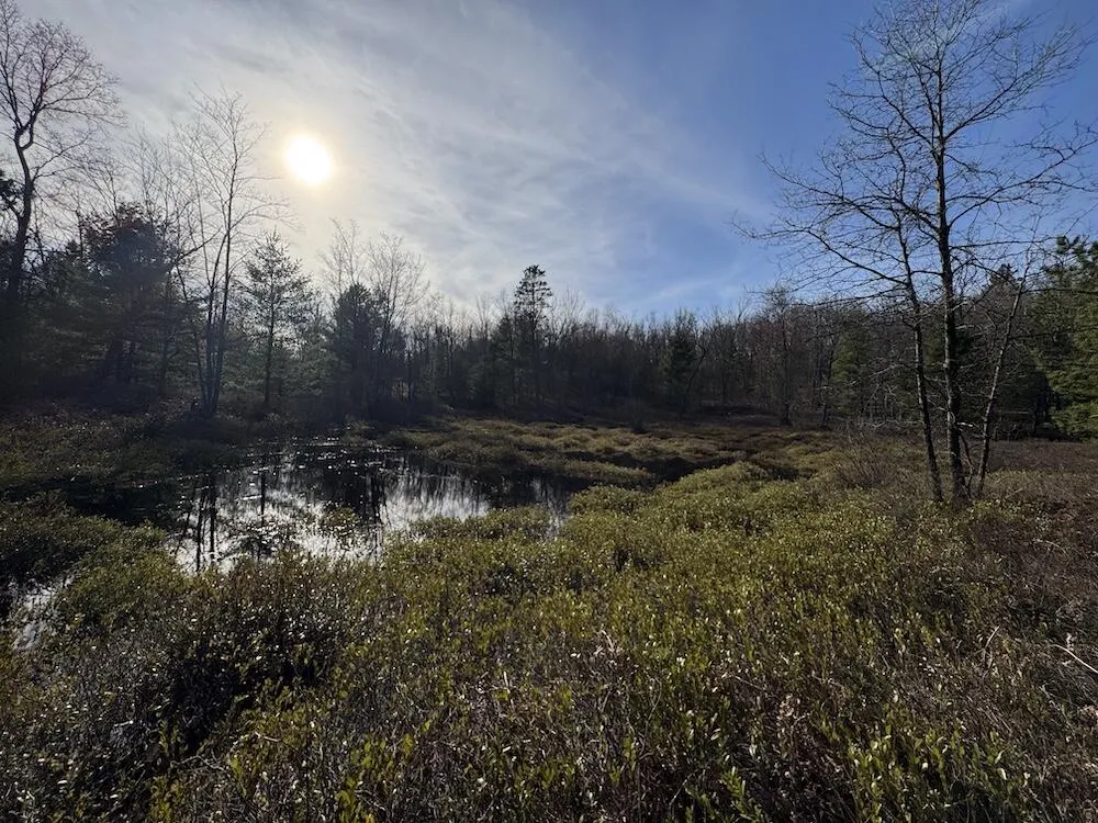 7584 Railroad Grade Gladwin, MI 48624