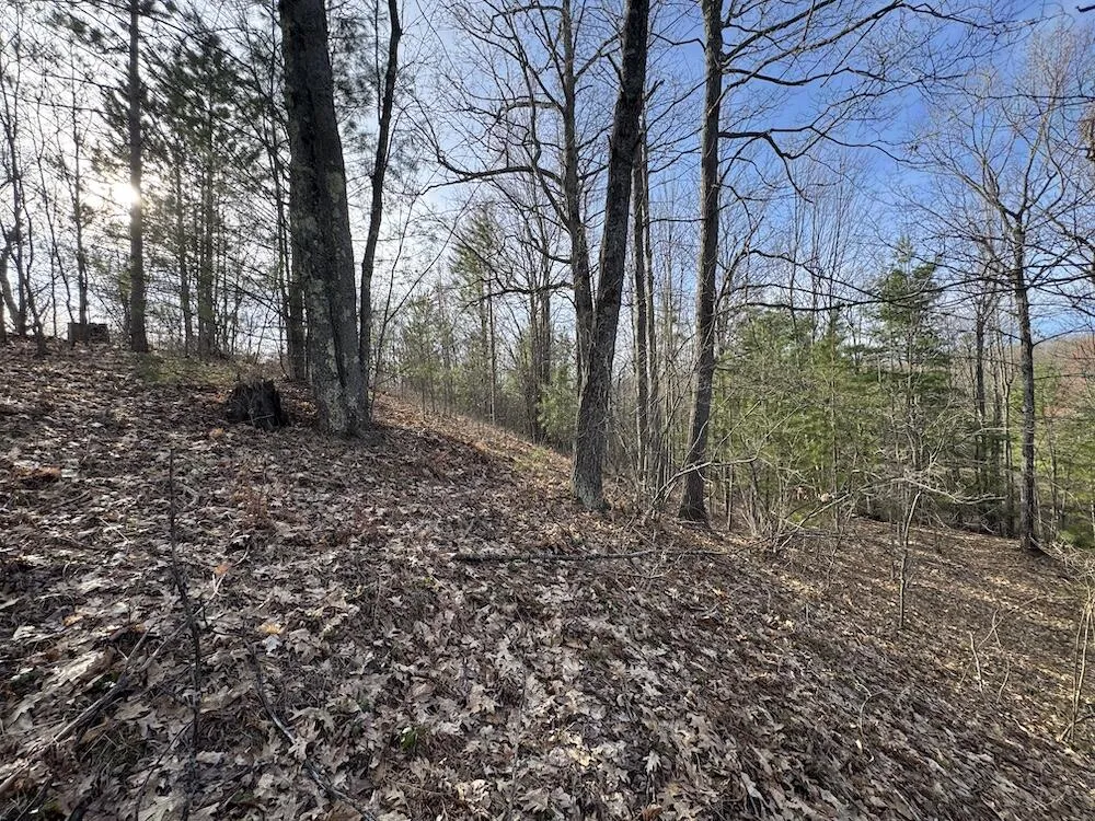 7584 Railroad Grade Gladwin, MI 48624