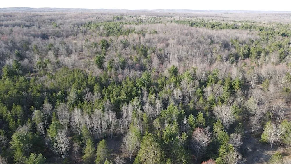 7584 Railroad Grade Gladwin, MI 48624
