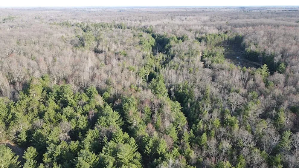 7584 Railroad Grade Gladwin, MI 48624