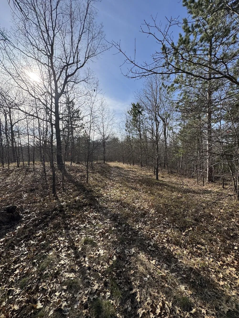 7584 Railroad Grade Gladwin, MI 48624