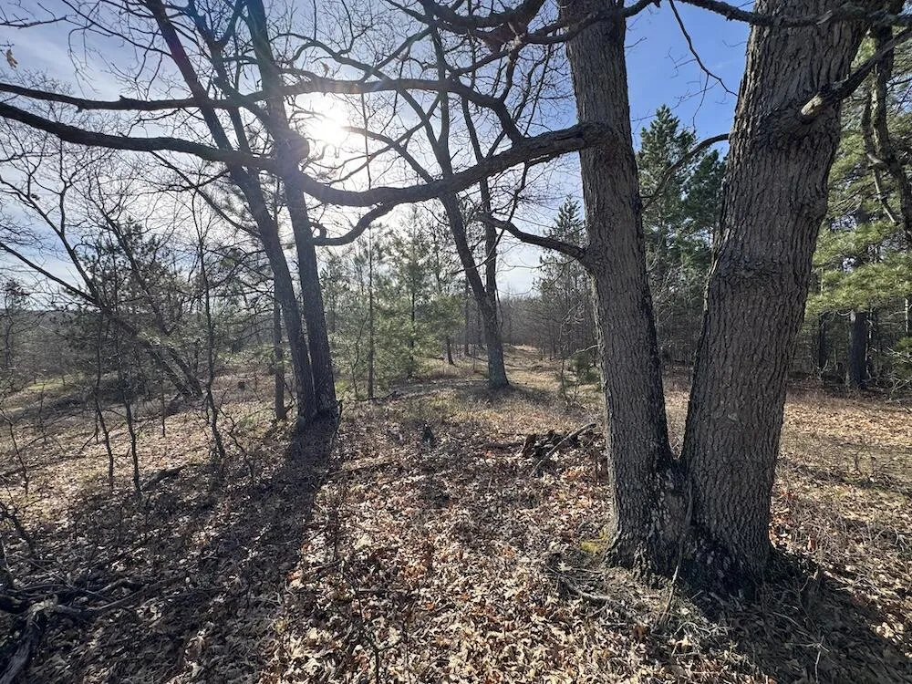 7584 Railroad Grade Gladwin, MI 48624