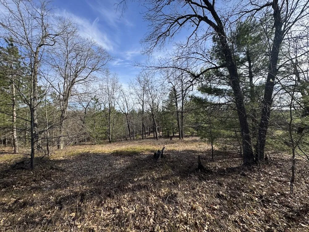7584 Railroad Grade Gladwin, MI 48624