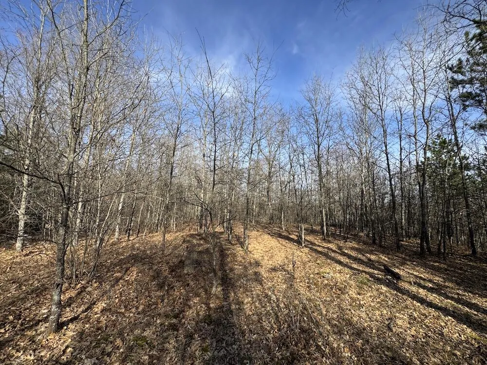 7584 Railroad Grade Gladwin, MI 48624
