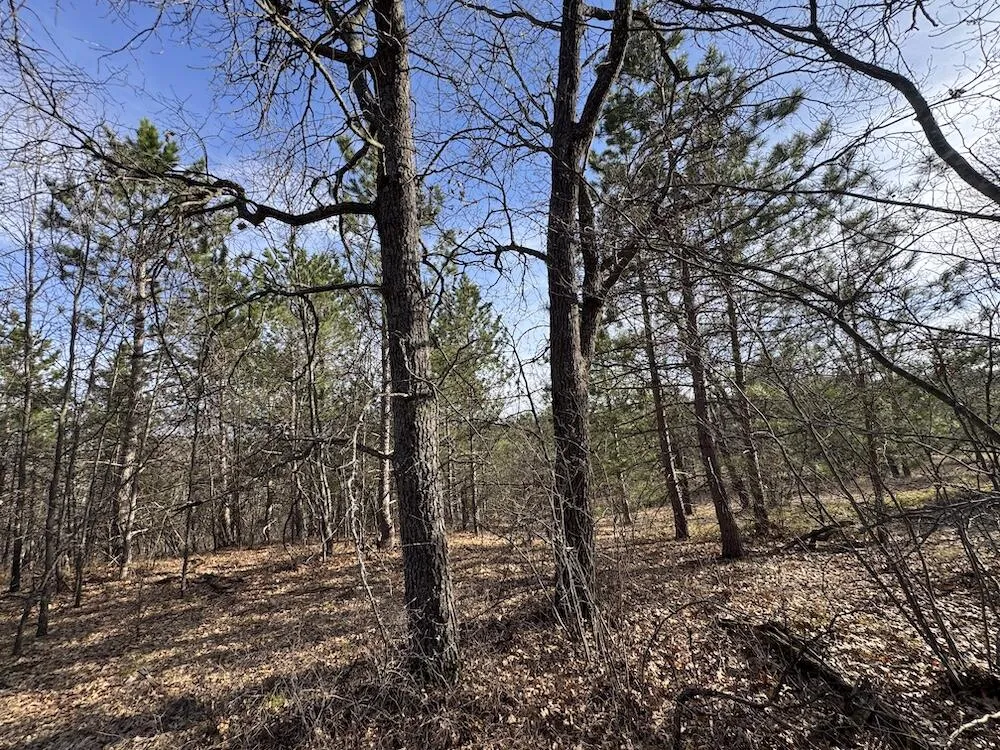 7584 Railroad Grade Gladwin, MI 48624
