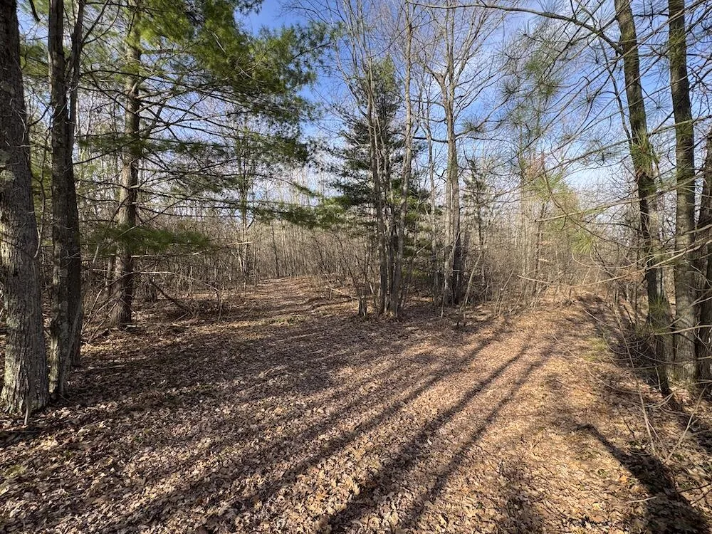 7584 Railroad Grade Gladwin, MI 48624