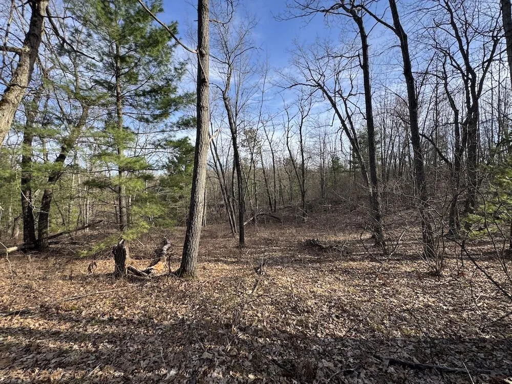 7584 Railroad Grade Gladwin, MI 48624