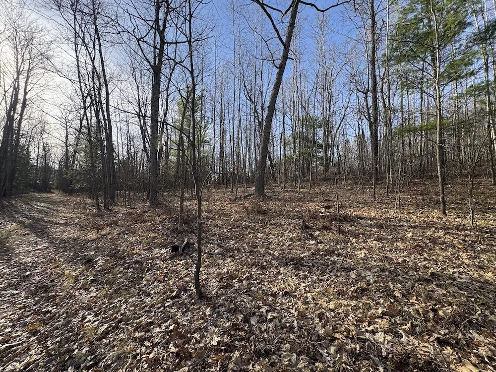 7584 Railroad Grade Gladwin, MI 48624