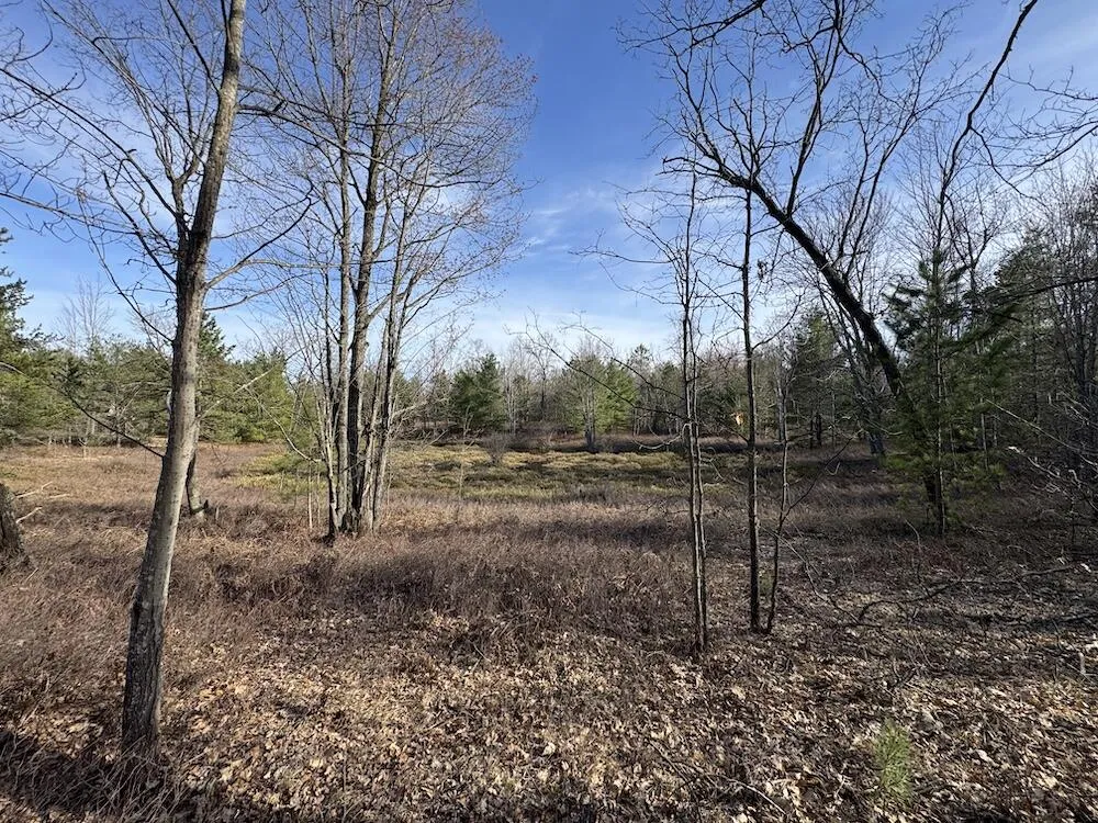 7584 Railroad Grade Gladwin, MI 48624