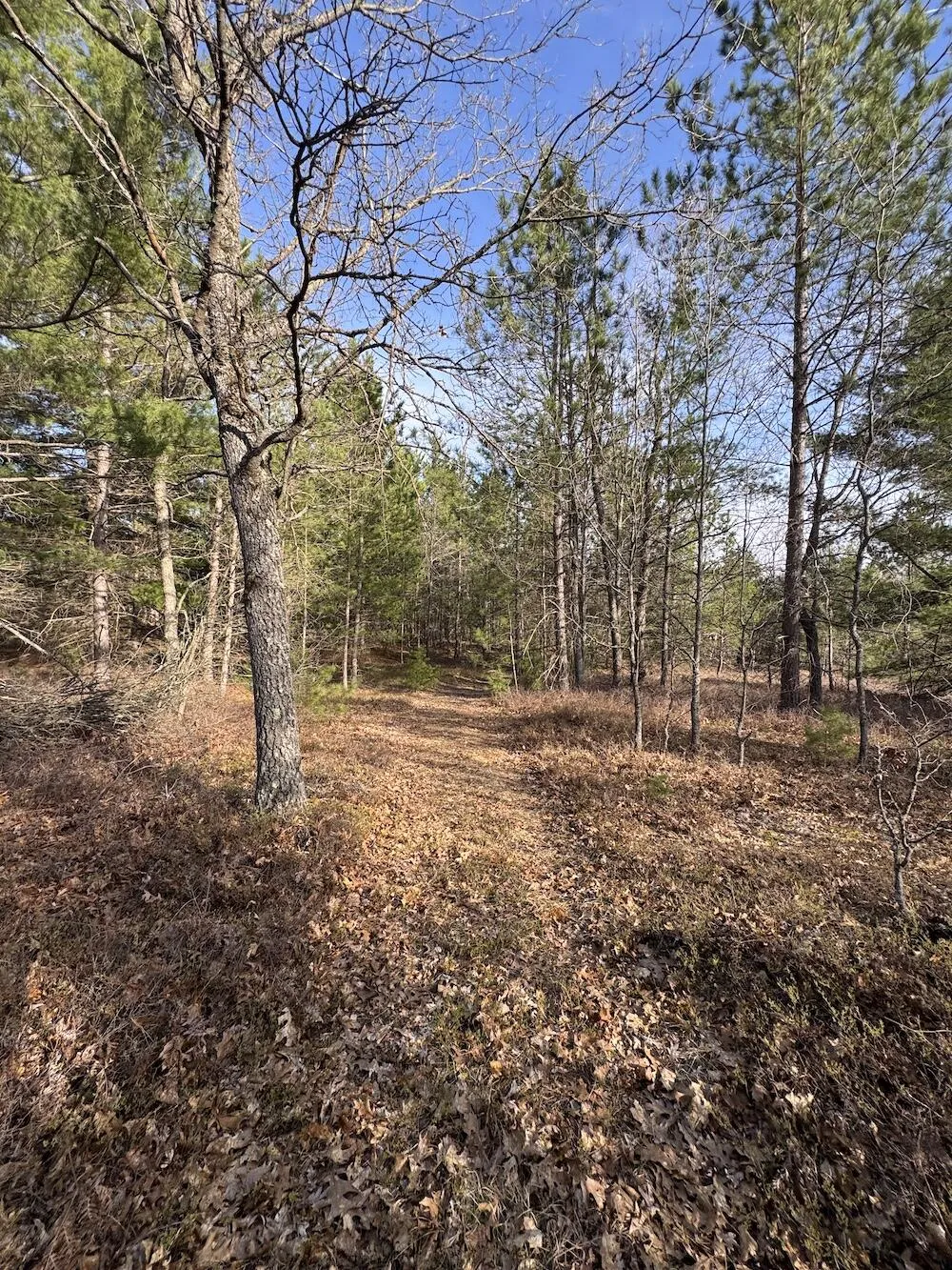 7584 Railroad Grade Gladwin, MI 48624