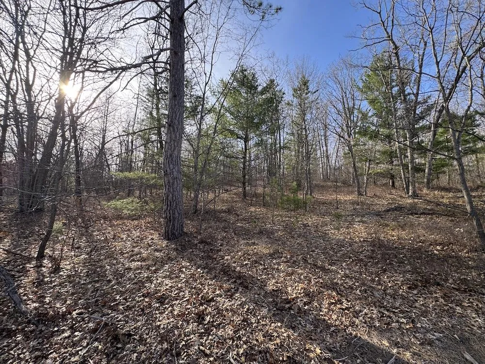 7584 Railroad Grade Gladwin, MI 48624