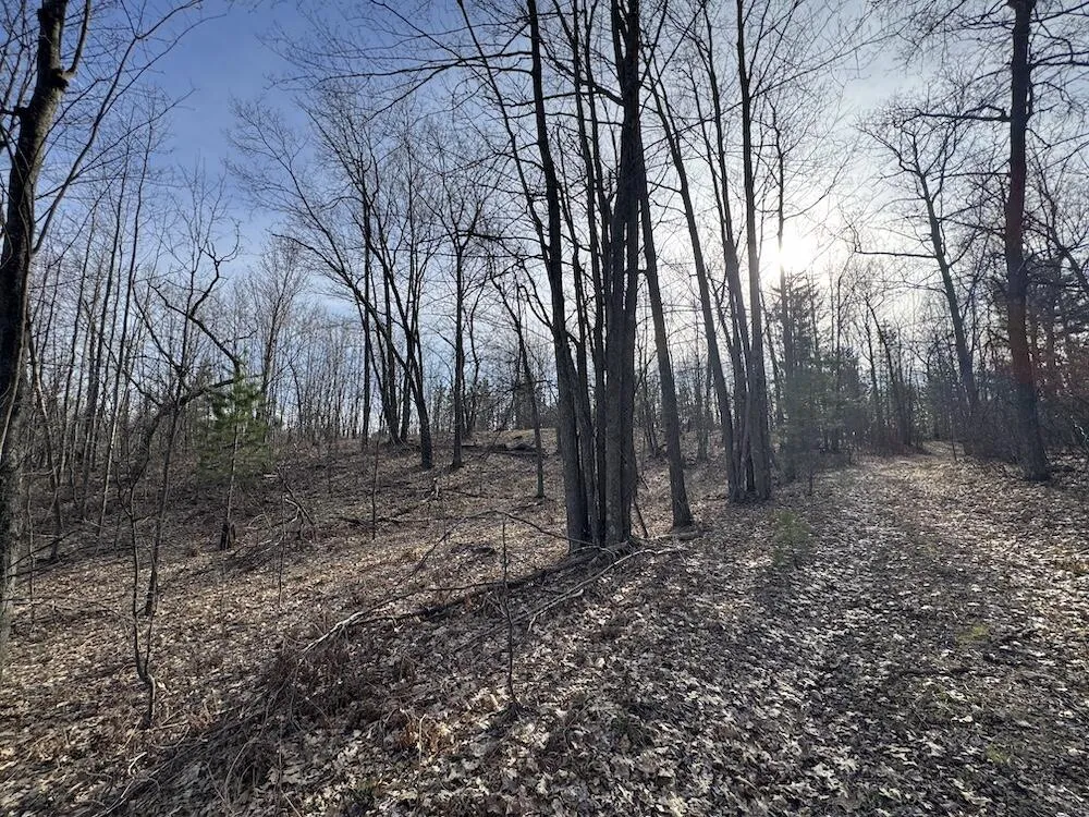 7584 Railroad Grade Gladwin, MI 48624