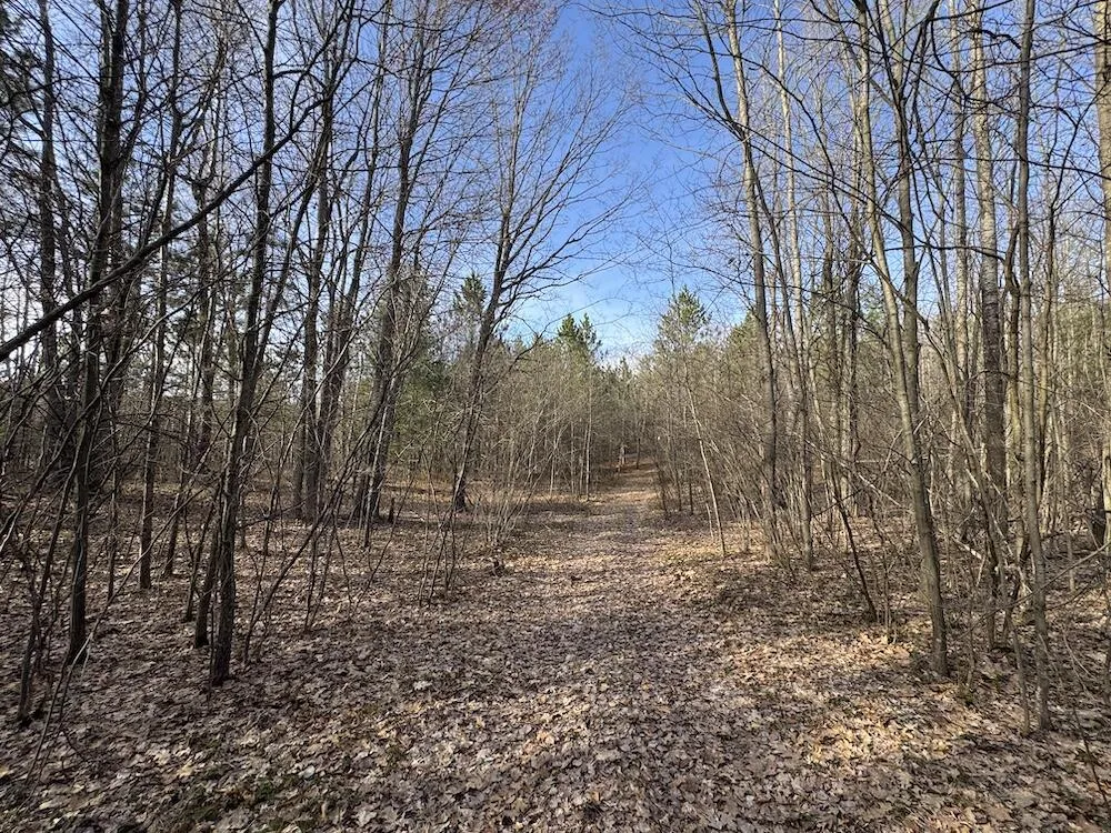 7584 Railroad Grade Gladwin, MI 48624