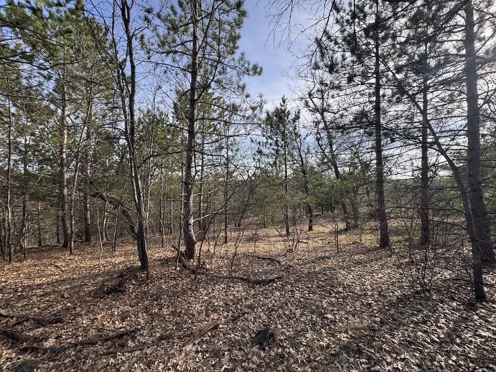 7584 Railroad Grade Gladwin, MI 48624