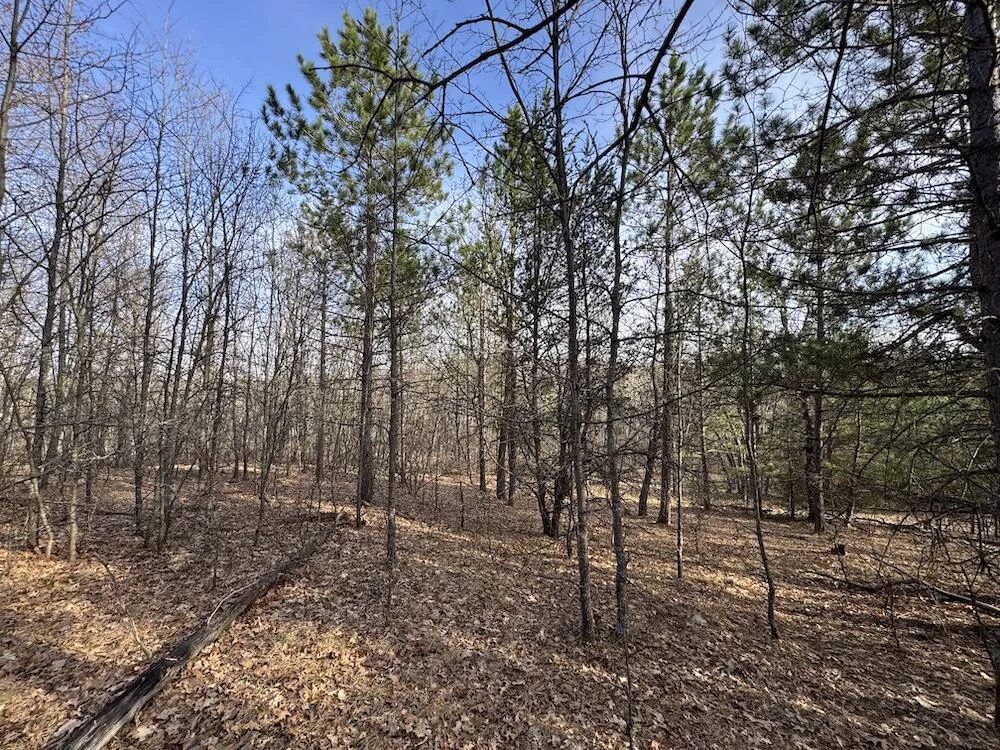 7584 Railroad Grade Gladwin, MI 48624