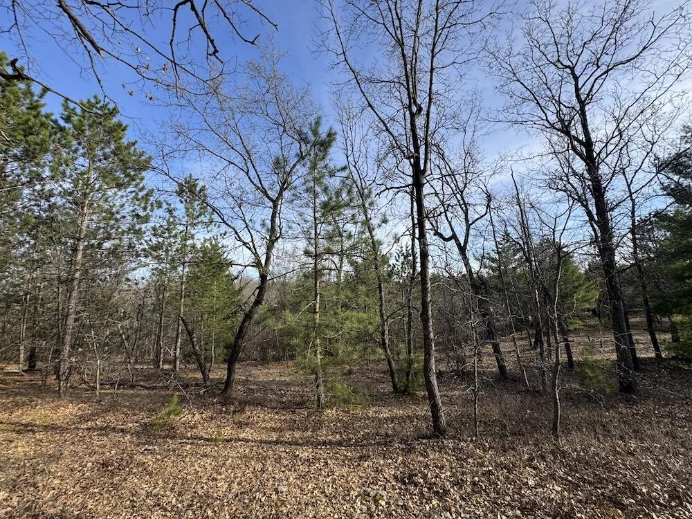 7584 Railroad Grade Gladwin, MI 48624