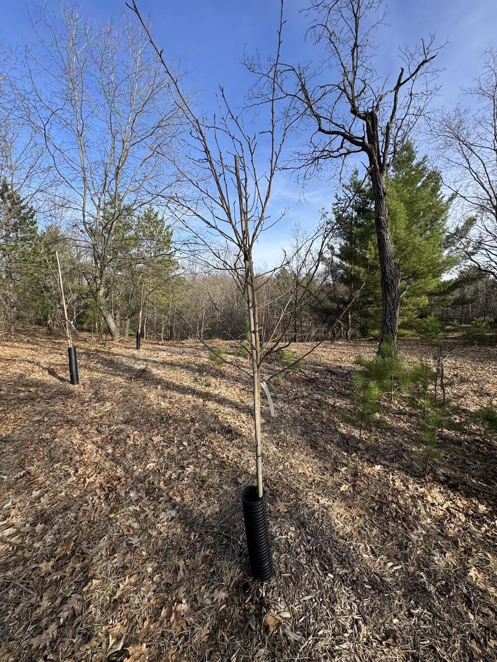 7584 Railroad Grade Gladwin, MI 48624