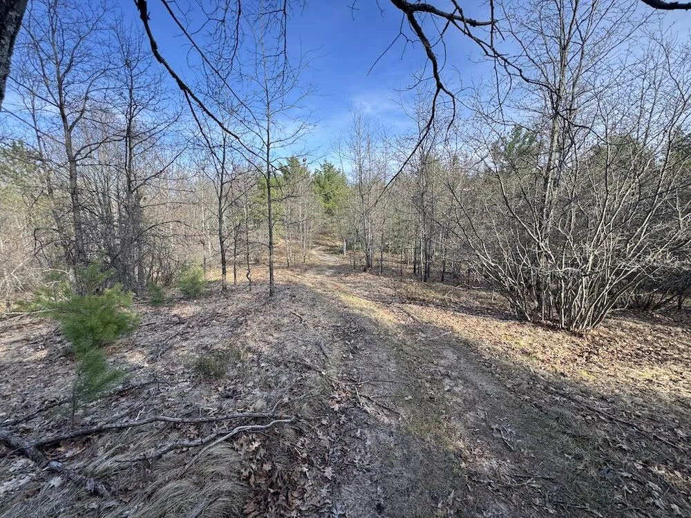 7584 Railroad Grade Gladwin, MI 48624