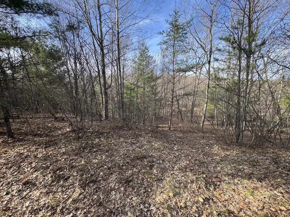 7584 Railroad Grade Gladwin, MI 48624