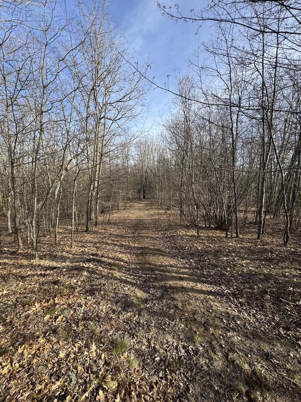 7584 Railroad Grade Gladwin, MI 48624