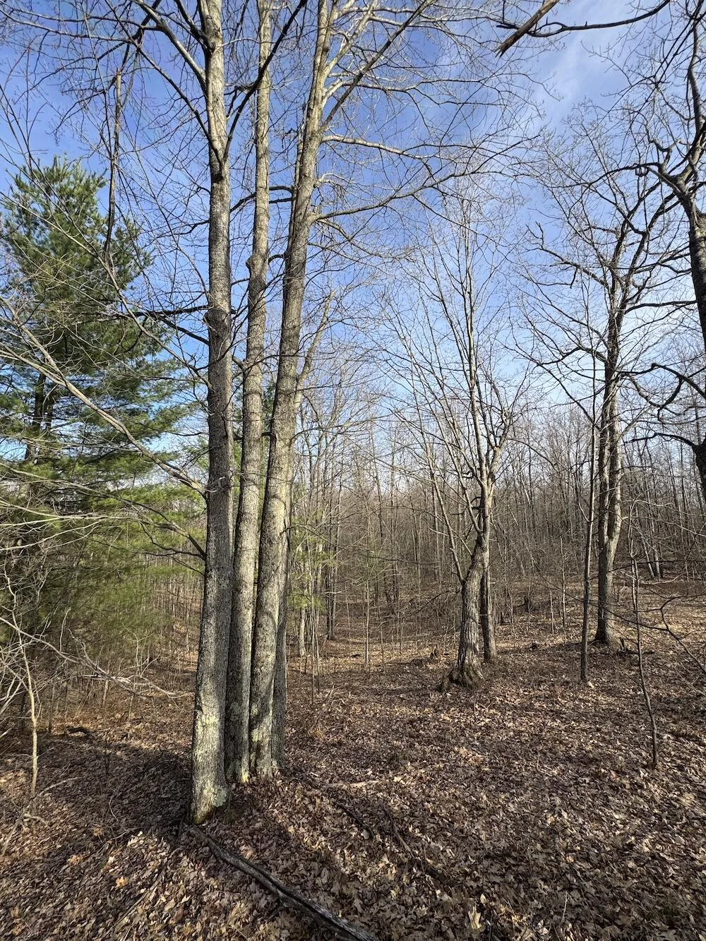 7584 Railroad Grade Gladwin, MI 48624