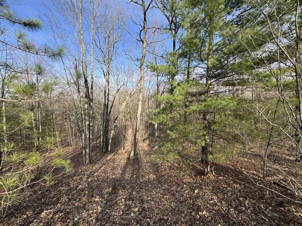 7584 Railroad Grade Gladwin, MI 48624