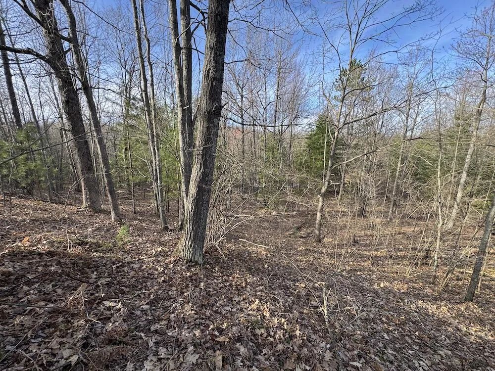 7584 Railroad Grade Gladwin, MI 48624