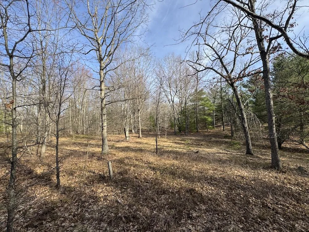 7584 Railroad Grade Gladwin, MI 48624