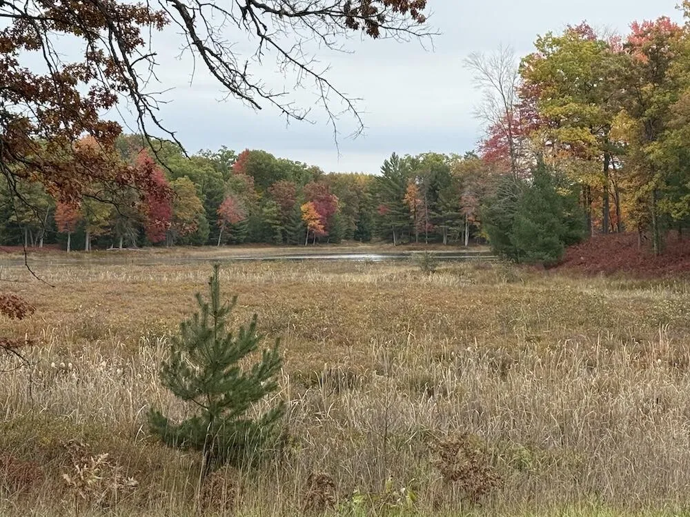 7584 Railroad Grade Gladwin, MI 48624