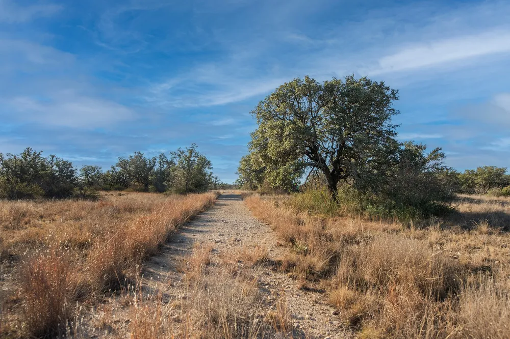371 Axis Court Melvin, TX 76858