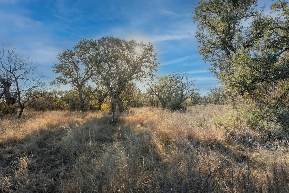 371 Axis Court Melvin, TX 76858