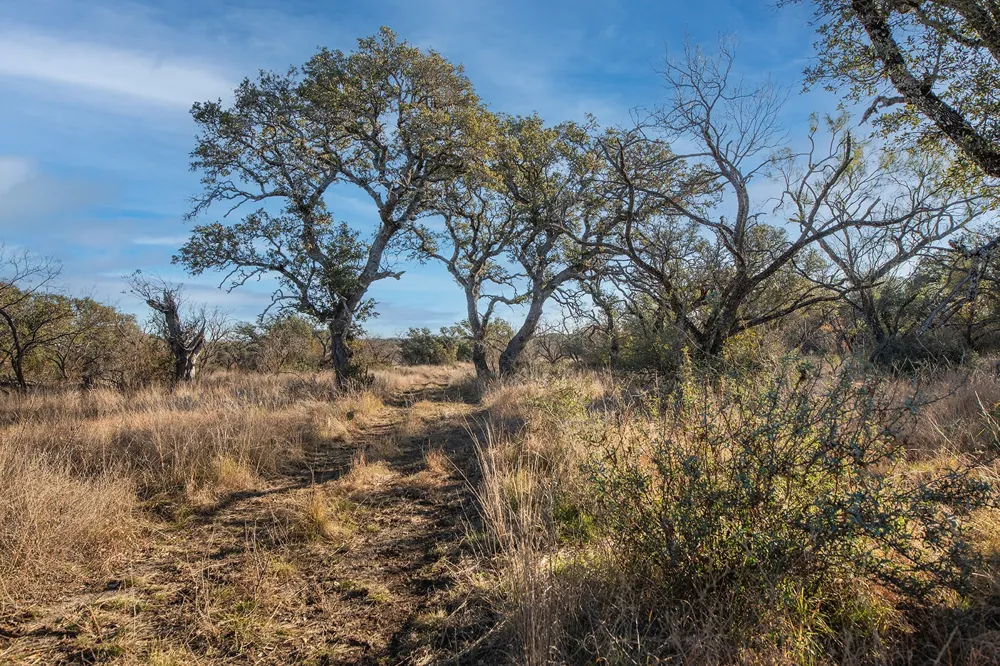371 Axis Court Melvin, TX 76858