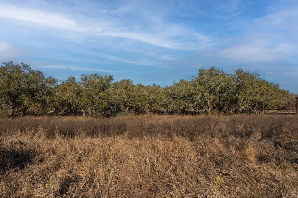 371 Axis Court Melvin, TX 76858