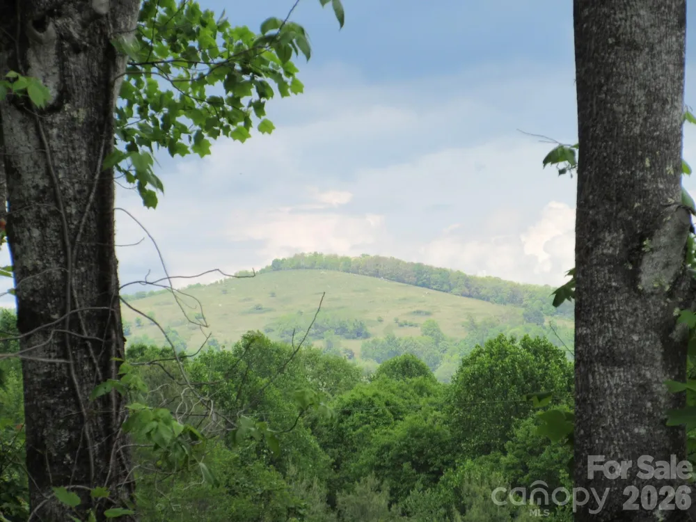 0 Rocky Top Trail #4 Hot Springs, NC 28743