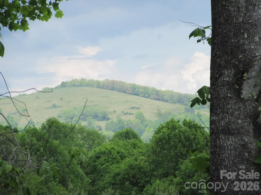 0 Rocky Top Trail #4 Hot Springs, NC 28743