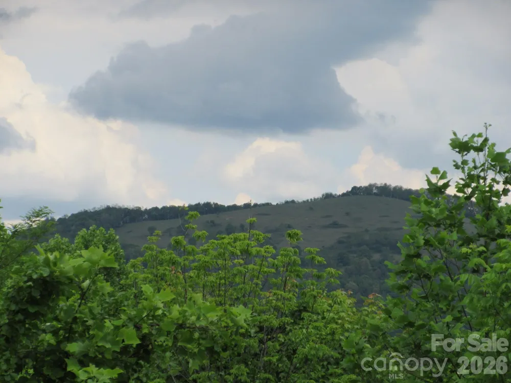 0 Rocky Top Trail #4 Hot Springs, NC 28743