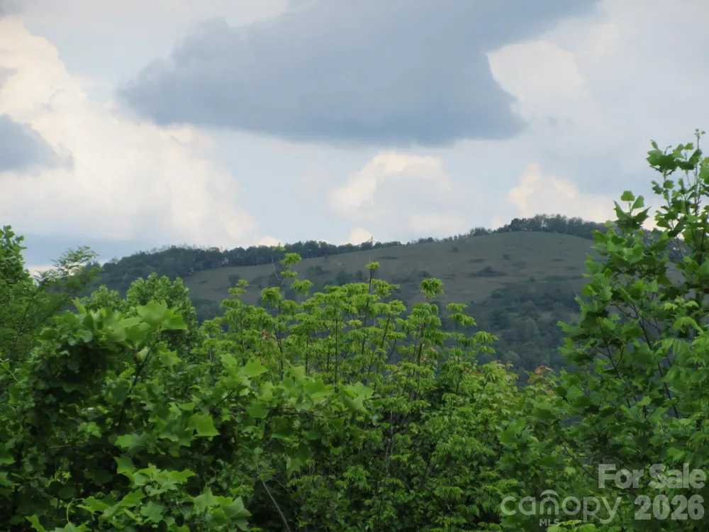 0 Rocky Top Trail #4 Hot Springs, NC 28743