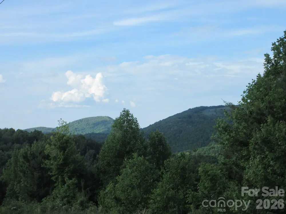 0 Rocky Top Trail #4 Hot Springs, NC 28743