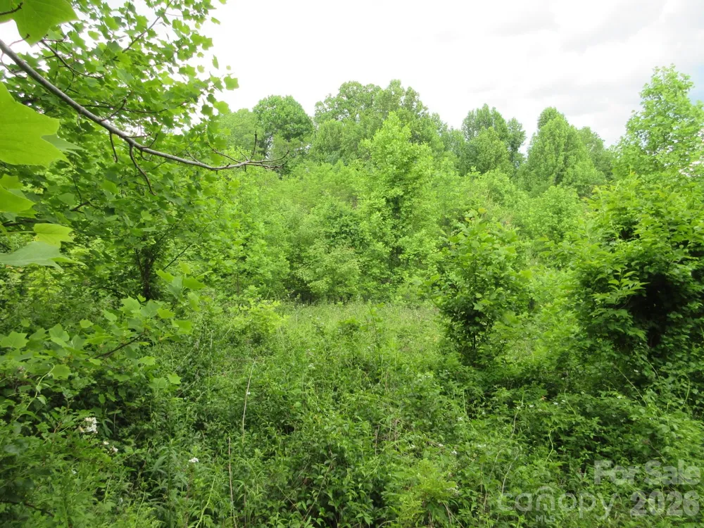 0 Rocky Top Trail #4 Hot Springs, NC 28743