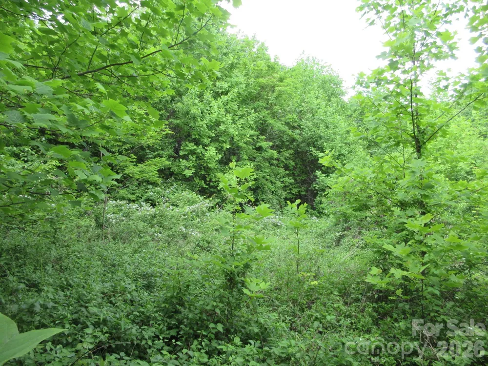 0 Rocky Top Trail #4 Hot Springs, NC 28743