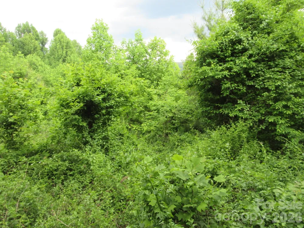 0 Rocky Top Trail #4 Hot Springs, NC 28743