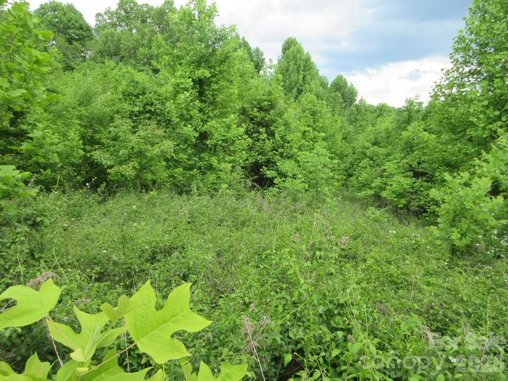 0 Rocky Top Trail #4 Hot Springs, NC 28743