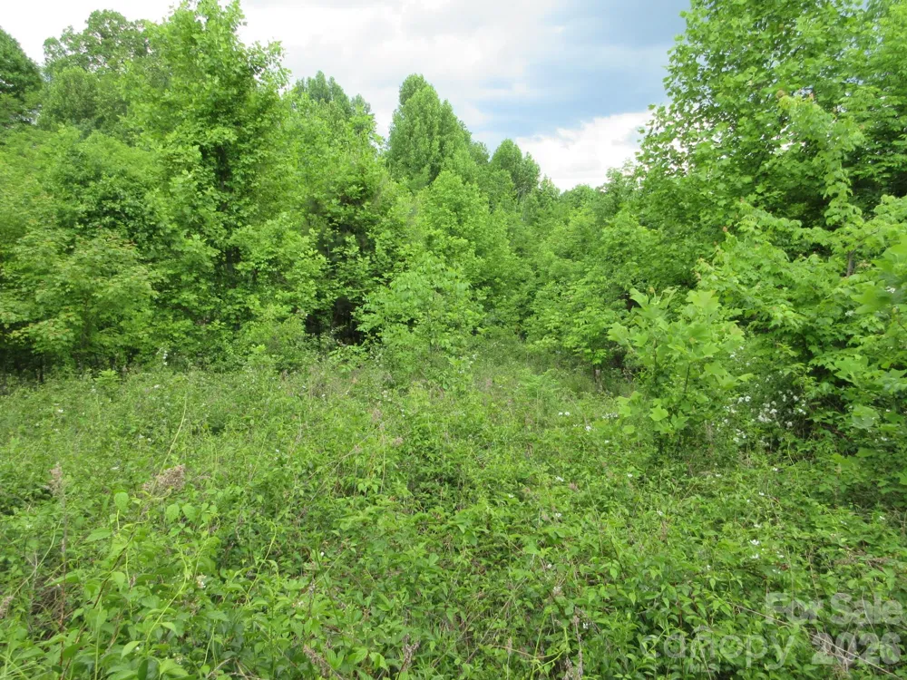 0 Rocky Top Trail #4 Hot Springs, NC 28743