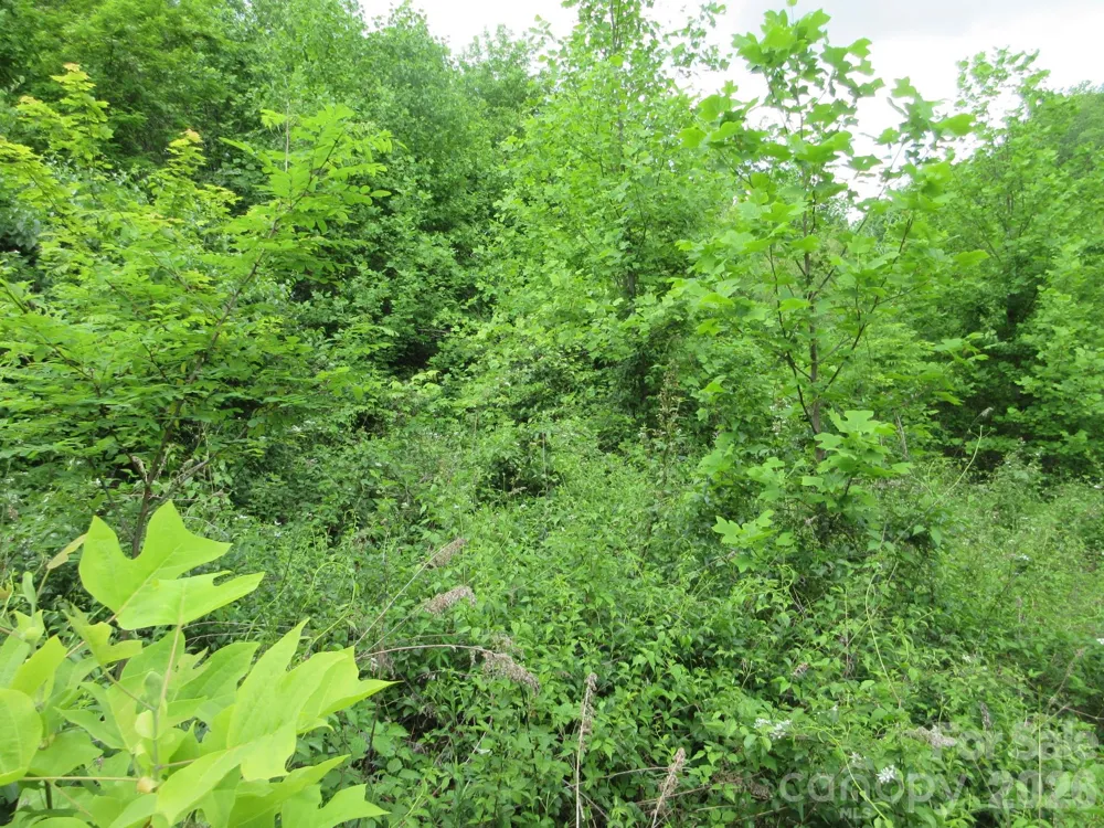 0 Rocky Top Trail #4 Hot Springs, NC 28743