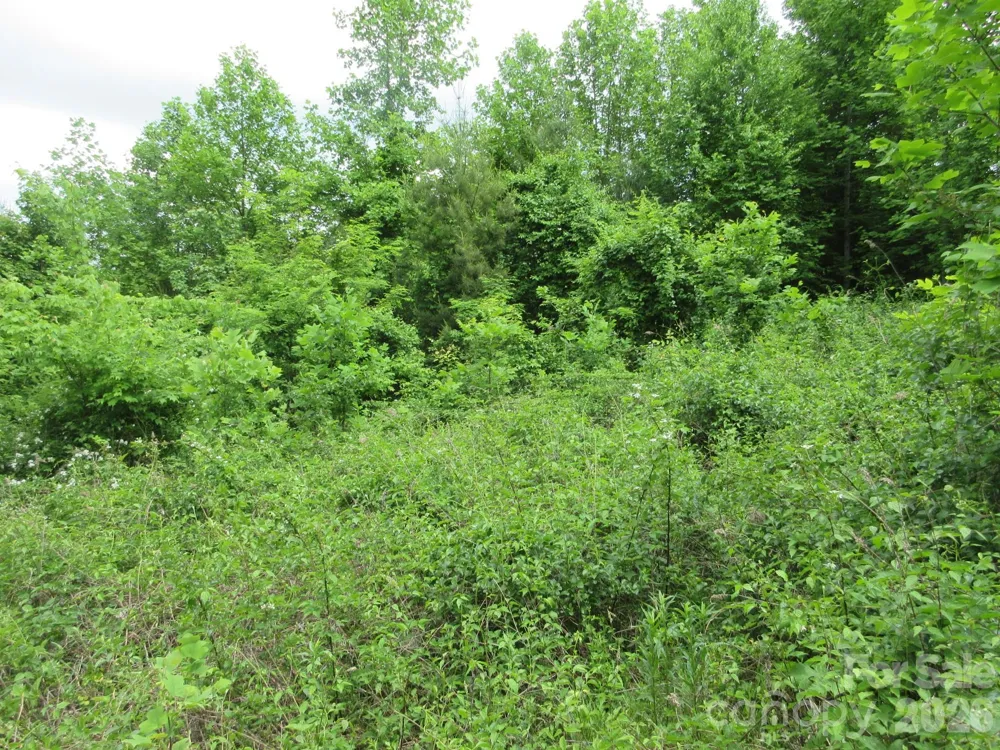 0 Rocky Top Trail #4 Hot Springs, NC 28743