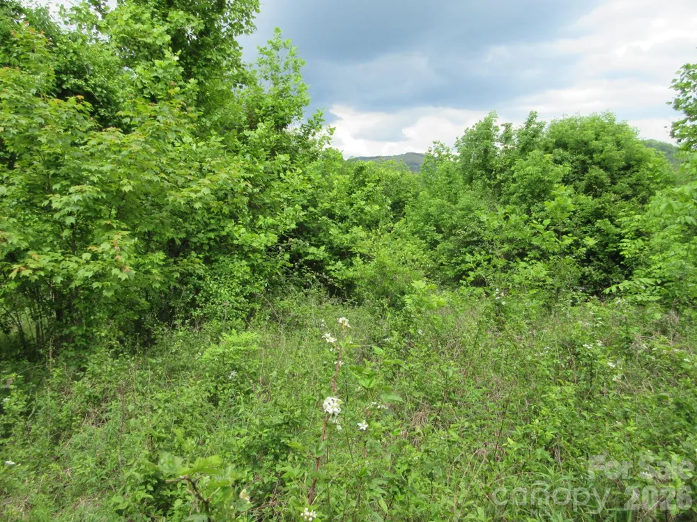 0 Rocky Top Trail #4 Hot Springs, NC 28743